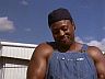 The Mechanic